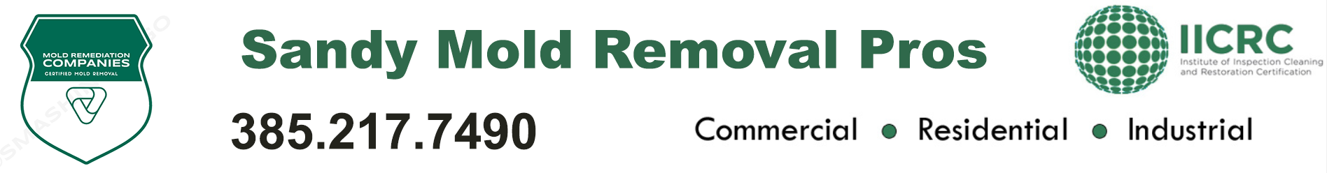 Sandy Mold Removal Pros